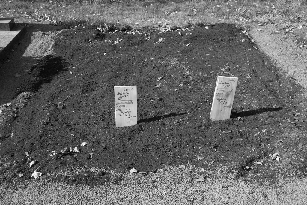 140329145213 Marco Jakobs 154